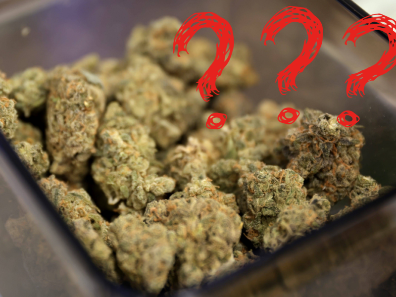 Beim Cannabis-Gesetz wird großer Widerstand in der Abstimmung erwartet.