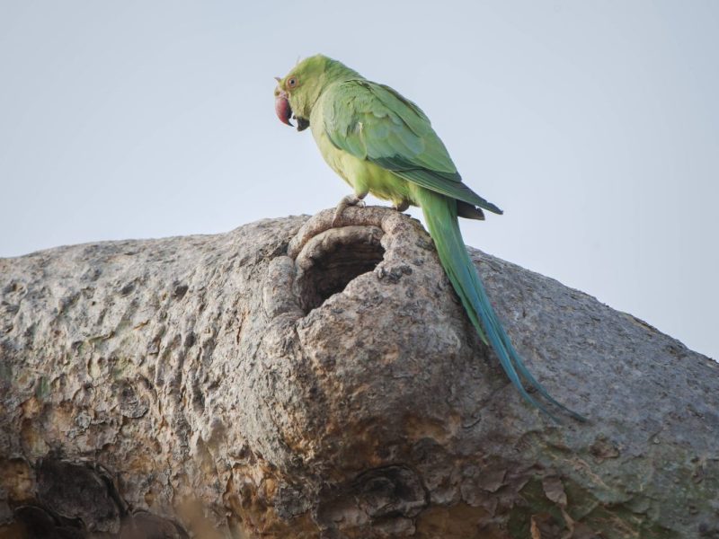 In einem Tierheim in NRW gab es einen echten Notfall.