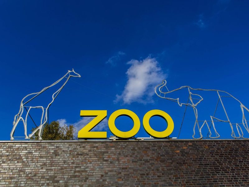 Zoo Köln