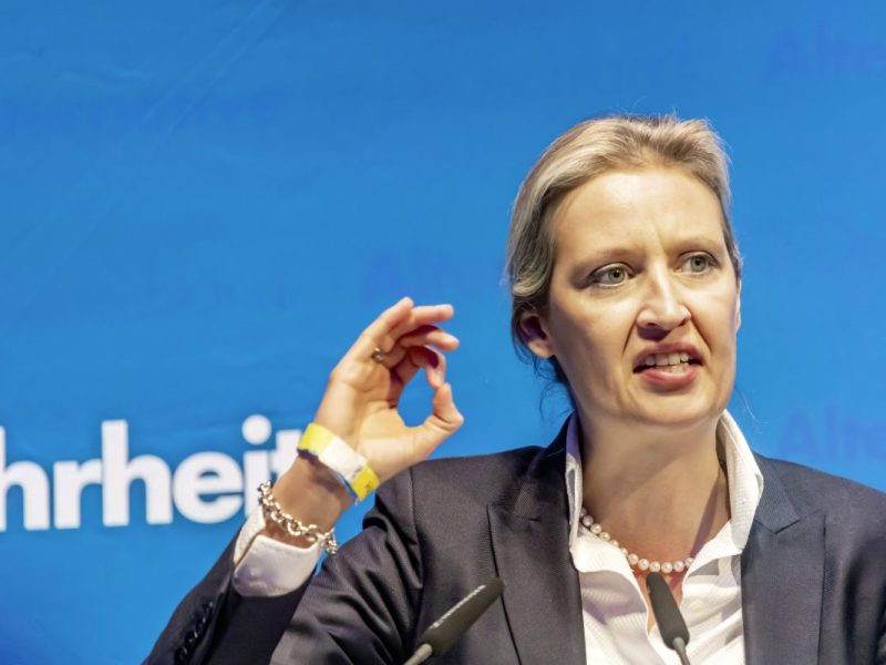 AfD-Chefin Alice Weidel