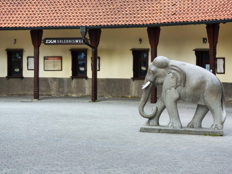 Im Zoom Gelsenkirchen war ein deutscher TV-Star im Gehege.