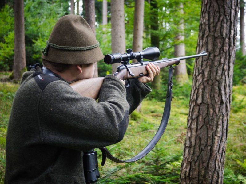 Große Tragödie in Oberhausen! Ein Pferd wird durch einen Jäger scher verletzt und muss eingeschläfert werden. Die Besitzer sind noch immer fassungslos.