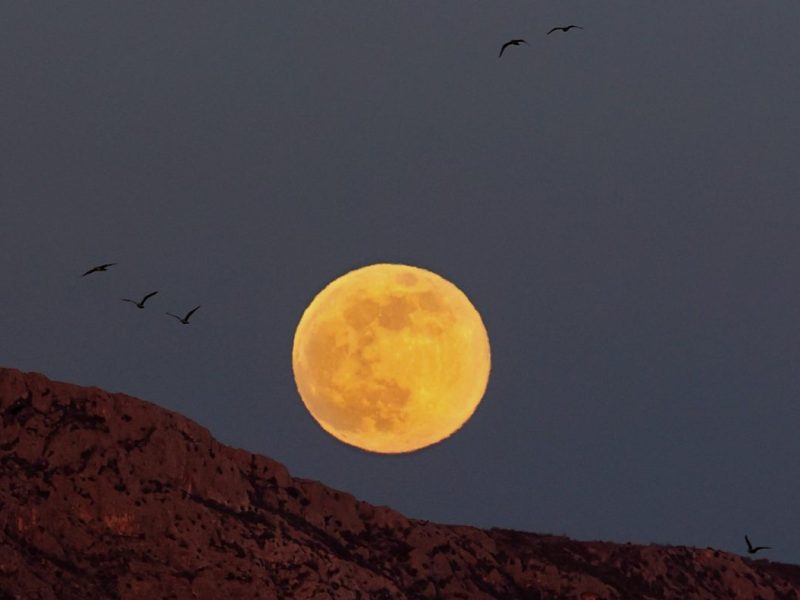 Horoskop: Vollmond bringt die Liebe