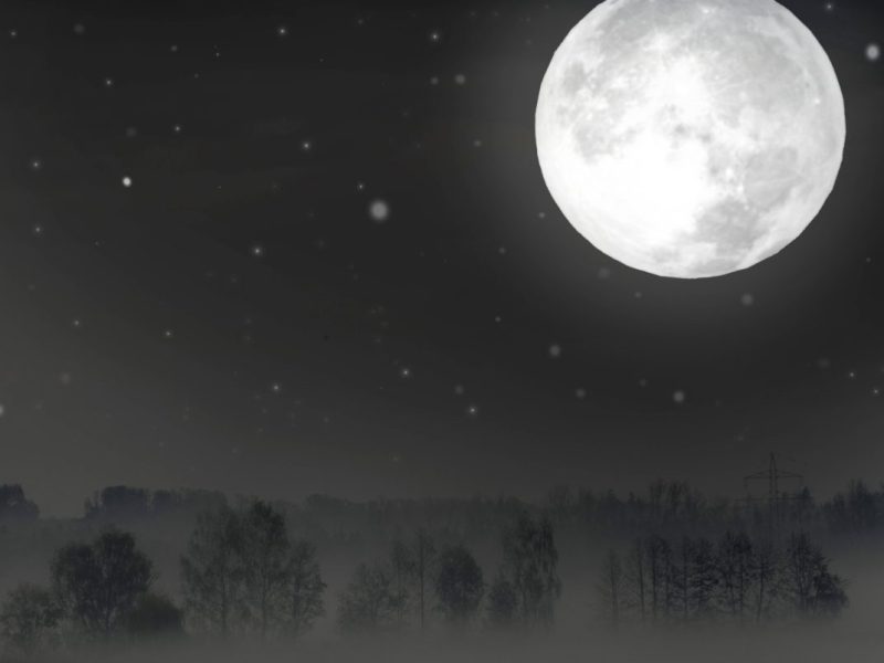 Jungfrau-Mond und Horoskop