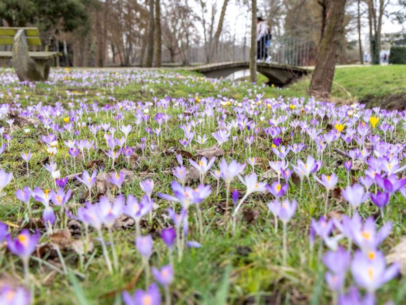 Wetter in NRW: milde Temperaturen gehen weiter