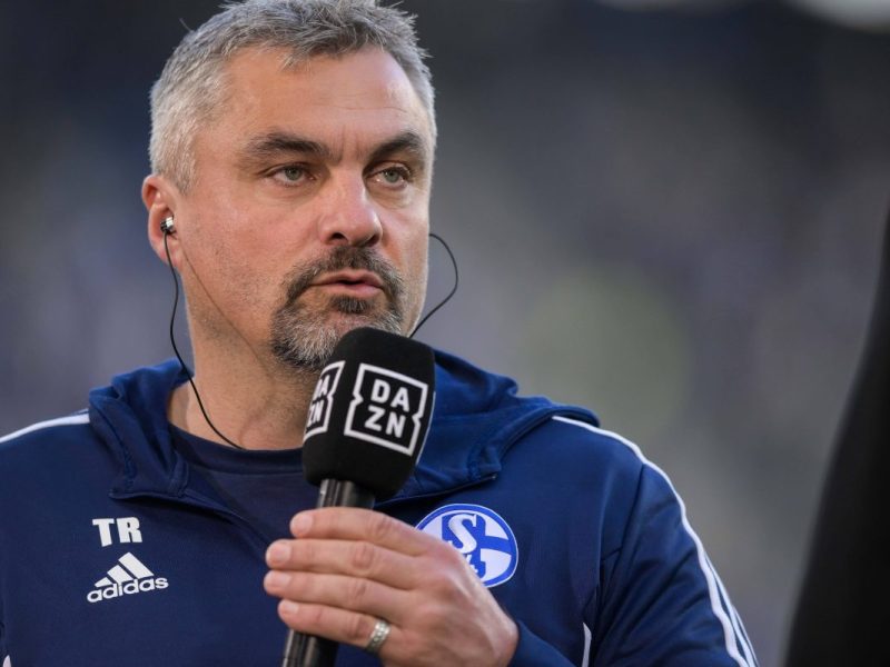 FC Schalke 04 Thomas Reis