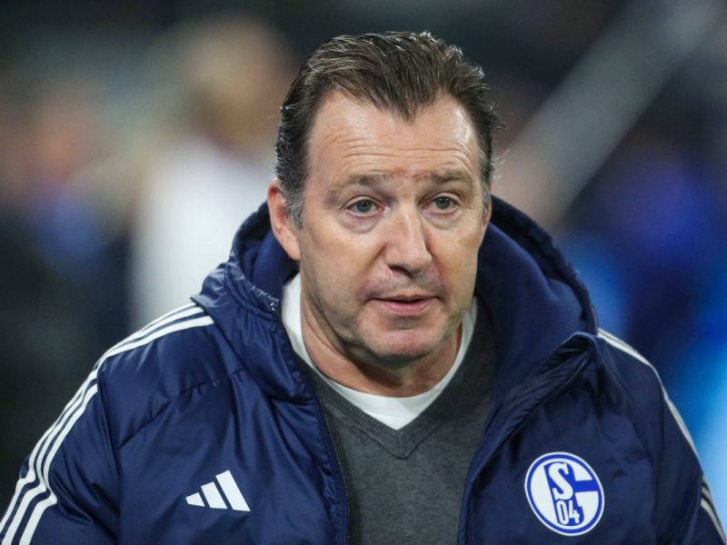 Marc Wilmots ist beim FC Schalke 04 schon jetzt für Klartext bekannt.