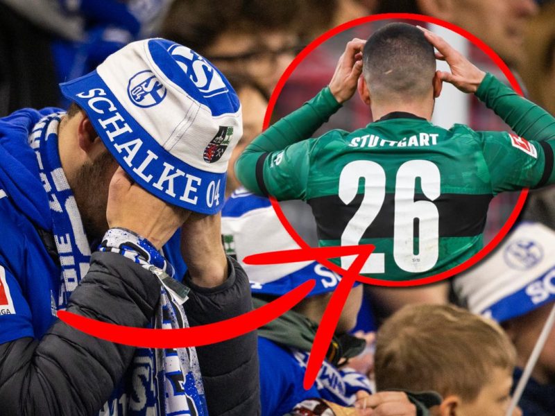 Ihn bekam der FC Schalke 04 nicht.