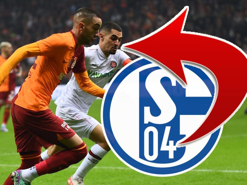 Bringt ER dem FC Schalke 04 mächtig Kohle ein?