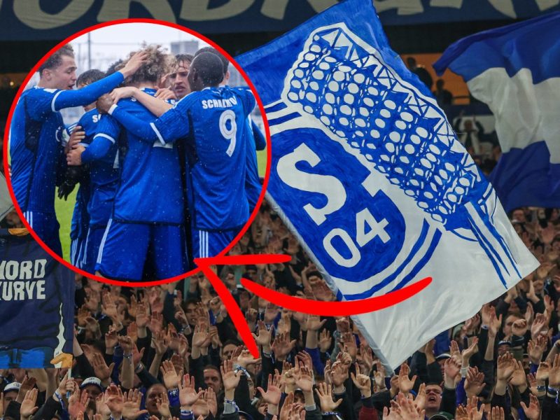 Auf Schalke wundern sich zahlreiche Fans.