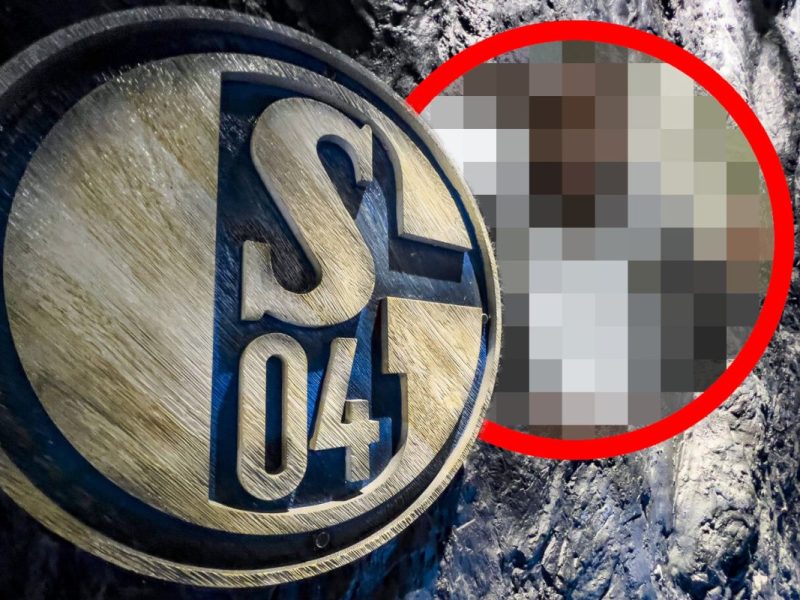 FC Schalke 04: Ist der Nachfolger für Andre Hechelmann schon gefunden?