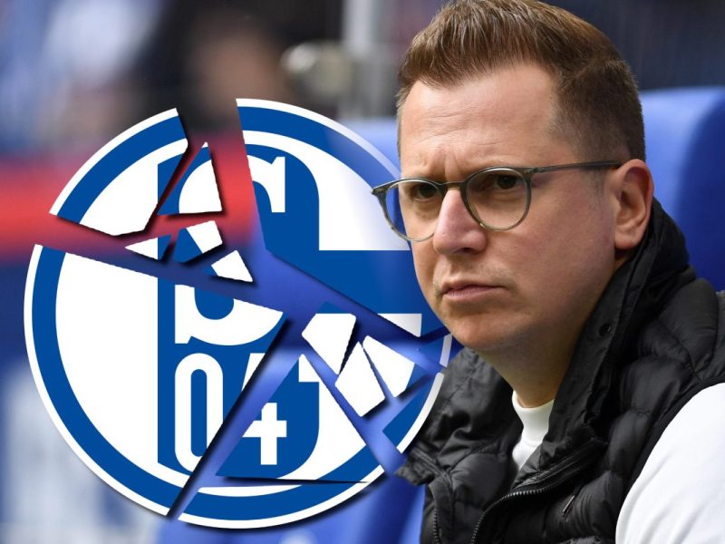 Andre Hechelmann scheidet beim FC Schalke 04 aus.