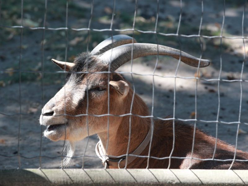 In diesem Zoo in NRW bot sich den Besuchern ein ungewöhnlicher Anblick.