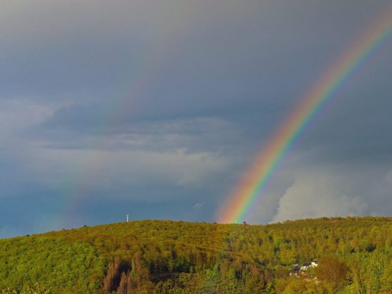 Ein Wettexperte findet deutliche Wort, was das Wetter in NRW im April betrifft.
