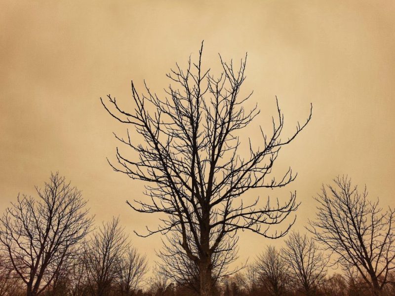 Wetter in NRW: Kommt dieses gruselige Phänomen auf uns zu?