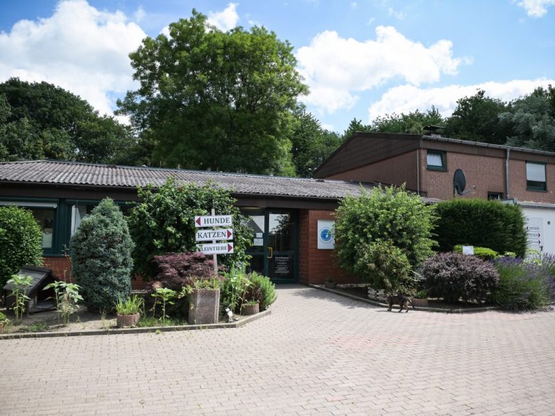 Tierheim Bochum mit unscheinbarem Schild, doch dahinter verbirgt sich ein ernster Grund.