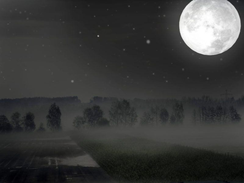 Laut Horoskop sorgt die Mondfinsternis für Klarheit bei diesen drei Sternzeichen.