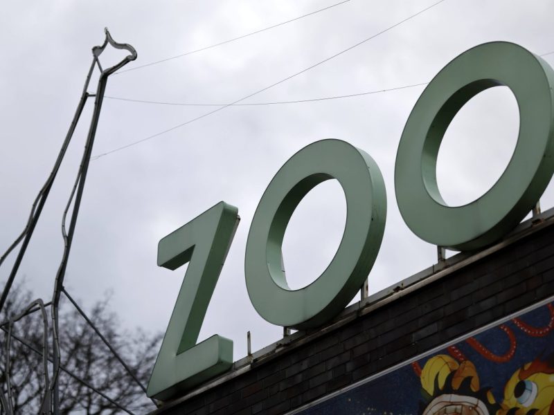 Diesem Zoo in NRW rennen die Besucher die Türen ein.