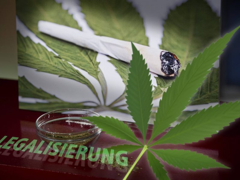 Cannabis Legalisierung