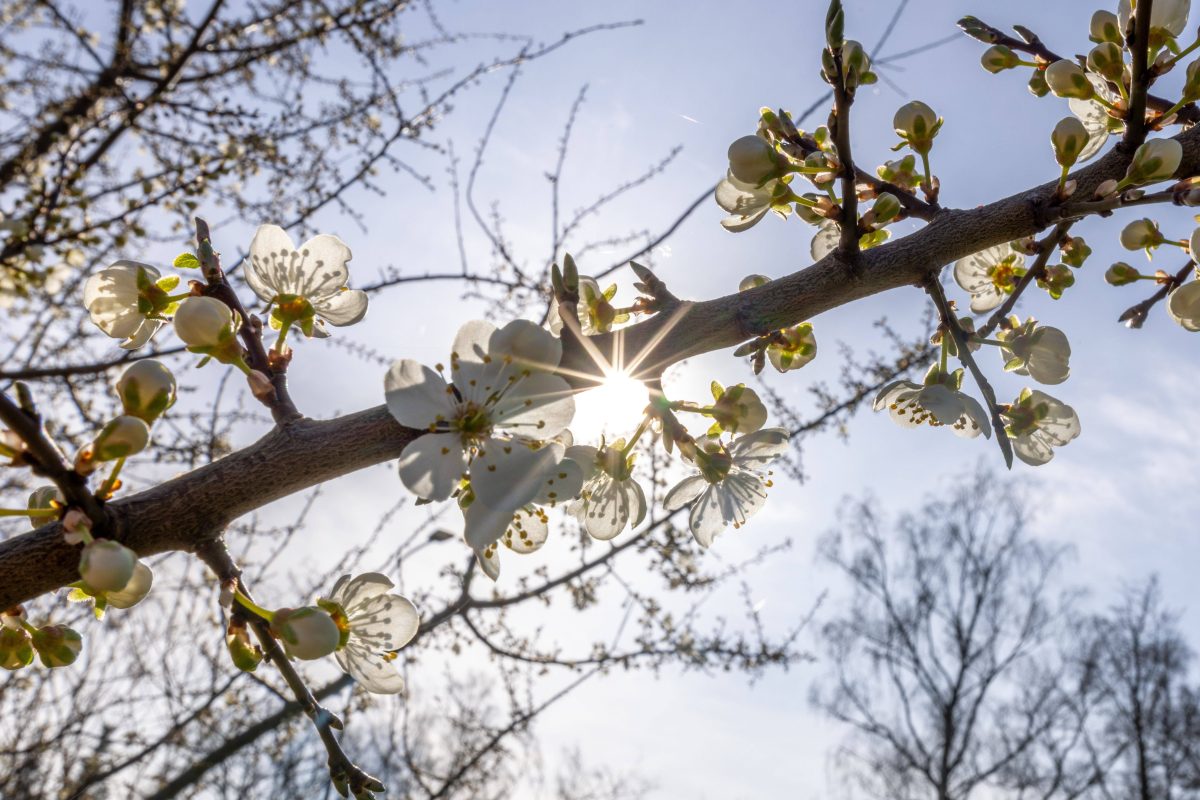 Bei diesem Phänomen im Wetter in NRW muss ein Experte auf den Tisch hauen.