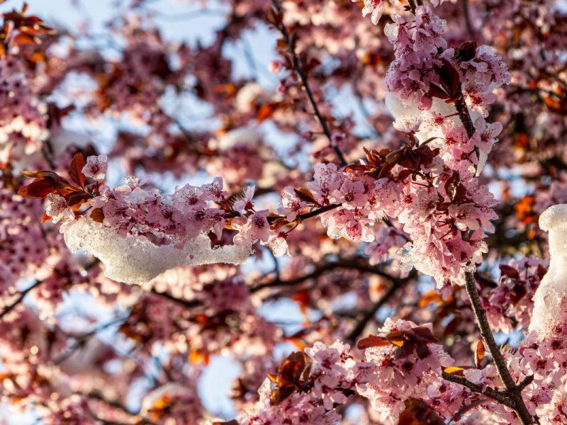 Wetter in NRW: Experte prognostiziert Kälte-Einbruch