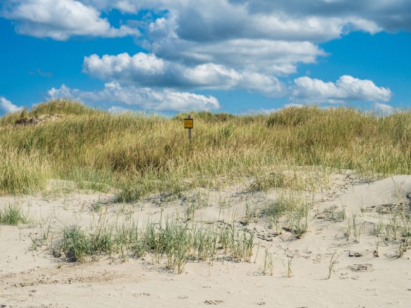 Urlaub in den Niederlanden: Diese Fehler sollten Touristen vermeiden.