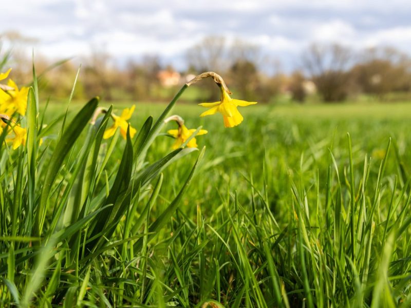 Wetter in NRW: Experte mit heftiger Sommerprognose