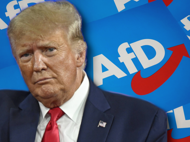 AfD-Wähler pro Trump