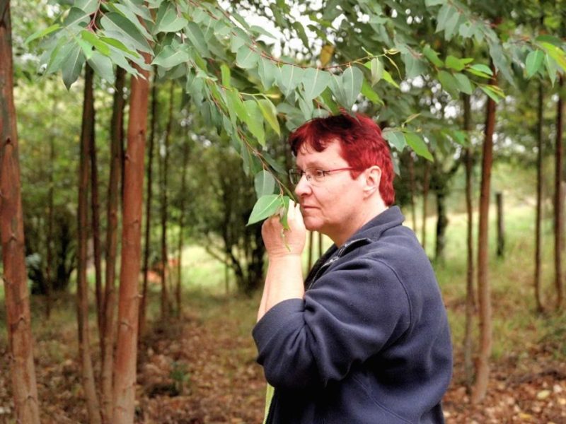 Bauer sucht Frau - International