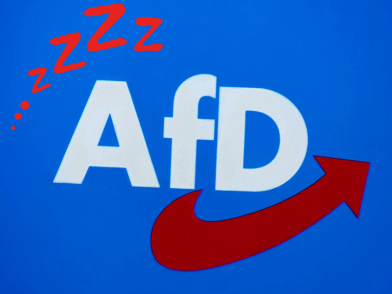 Diese Skandal-Kandidaten schickt die AfD ins Rennen für die Europawahl.