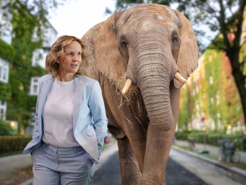 Wolf war gestern – Elefanten sind im Kommen, und zwar ganz schön viele. Botswanas Präsident will Umweltministerin Steffi Lemke 20 000 Elefanten „schenken“.