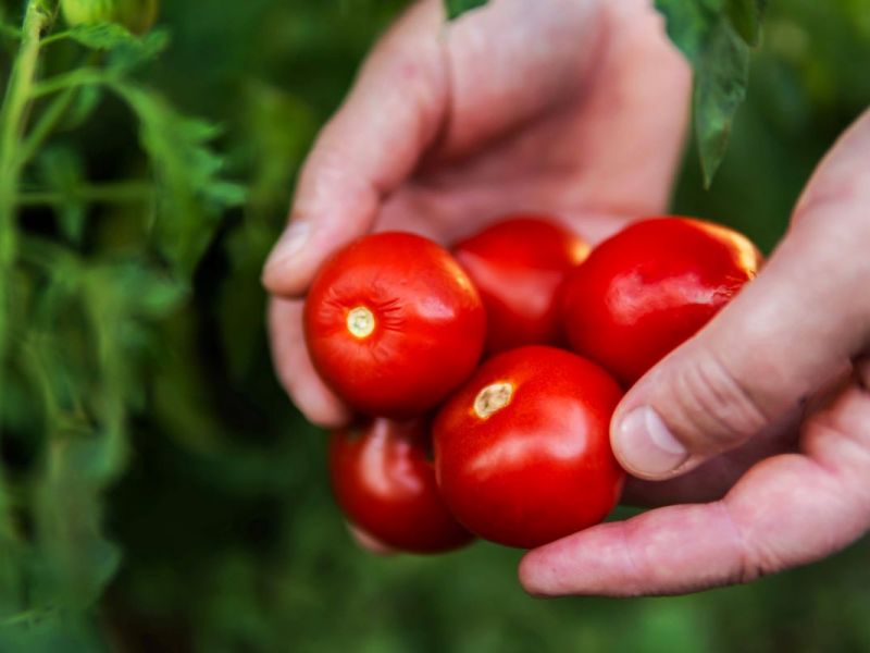 Wie sieht die Ernährung der Zukunft in Deutschland aus?