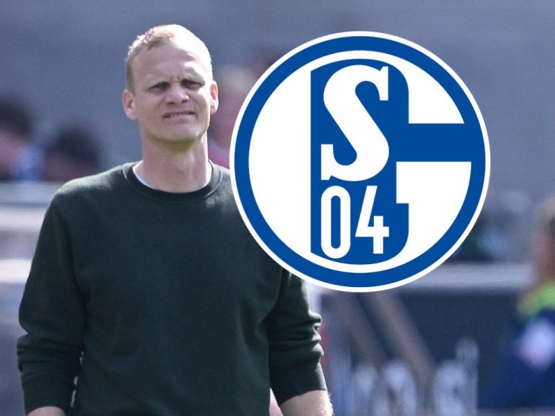Beim FC Schalke 04 könnten zwei Profis zurückkehren.