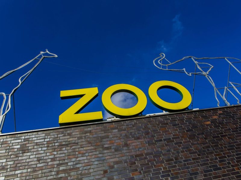 Der Kölner Zoo ist der größte Zoo in NRW.