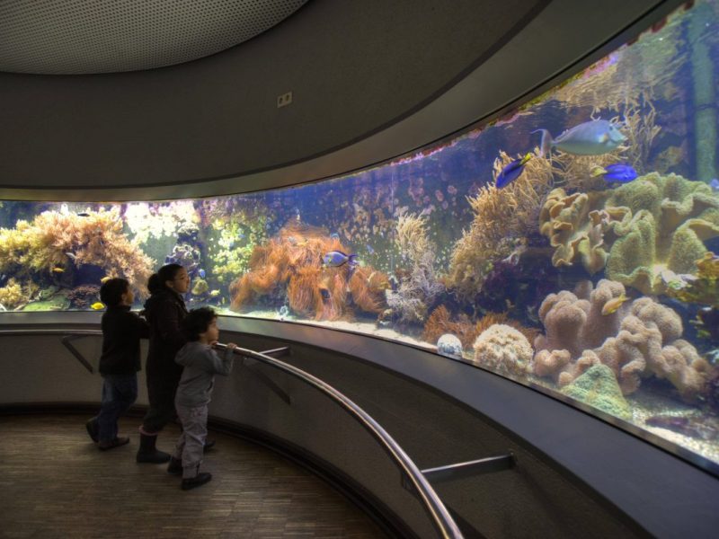 Aquazoo Löbbecke Museum Düsseldorf