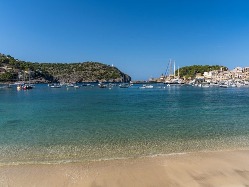 Urlaub auf Mallorca: Mann entdeckt Delfine in Strandnähe