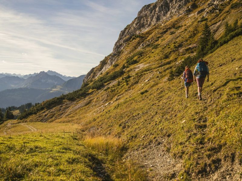 Urlaub in Österreich: Haifischflossensuppe wird künftig Verboten