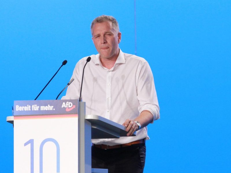 Afd-Politiker Bystron