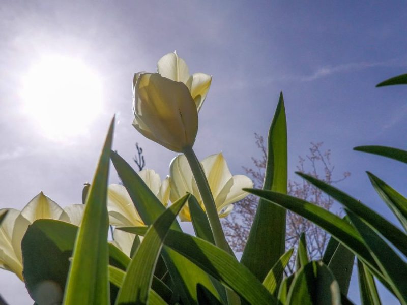 Wetter in NRW: Experte schockt mit Sommer-Prognose.