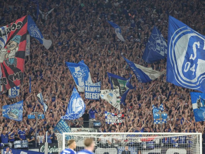 FC Schalke 04: Schalke-Fan verstorben