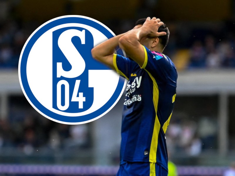 Schalke Serdar