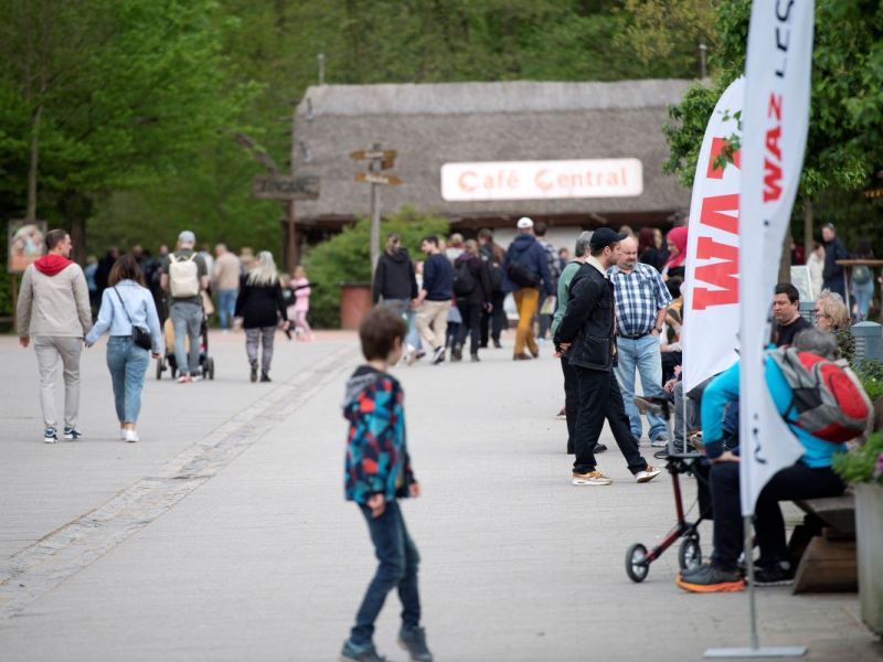 Im Zoom Gelsenkirchen lernen manche Tiere sogar Malen.