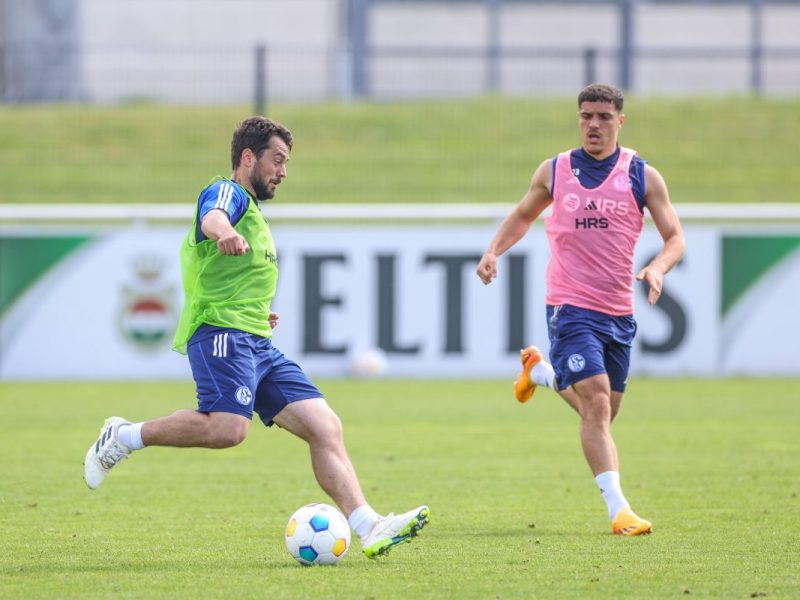 FC Schalke 04: Amin Younes