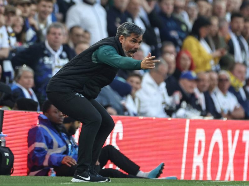 FC Schalke 04: David Wagner