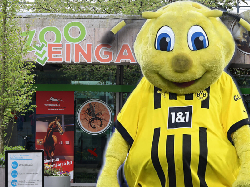 Wirbel um einen BVB-Tag in einem NRW-Zoo.