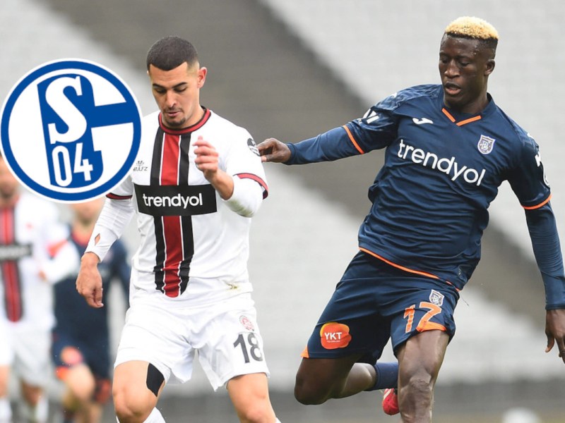 Verdient der FC Schalke 04 an Levent Mercan?
