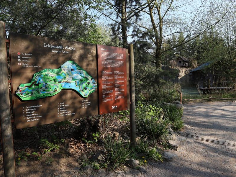 In diesem Gehege im Zoom Gelsenkirchen warten außergewöhnliche Tiere