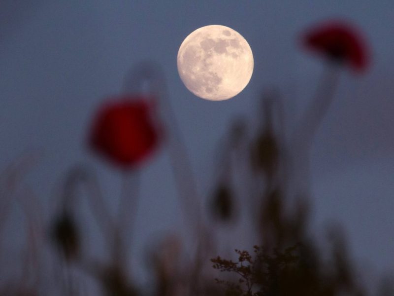 Horoskop Sternzeichen Vollmond