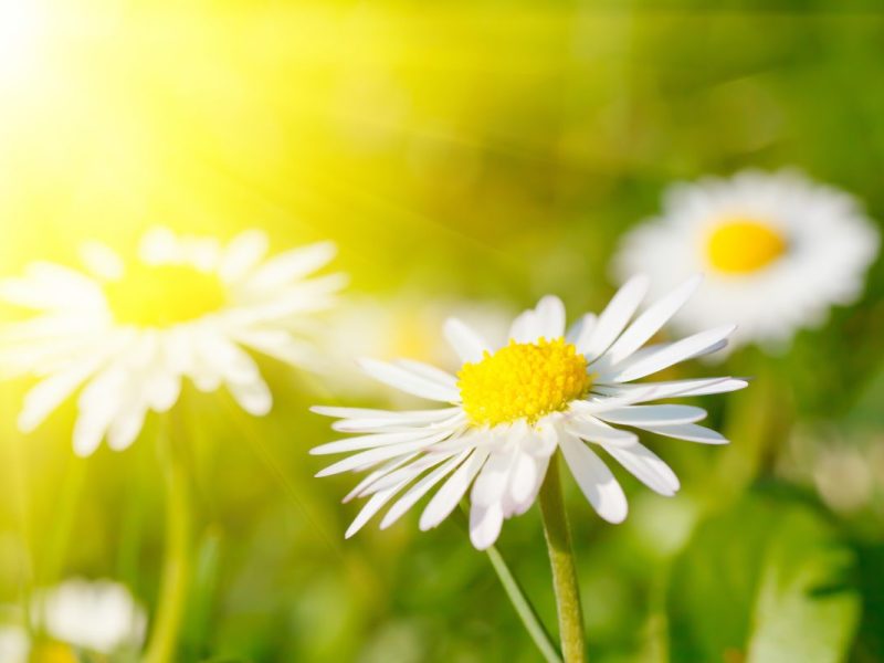 Laut Horoskop geht es für drei Sternzeichen bald bergauf.