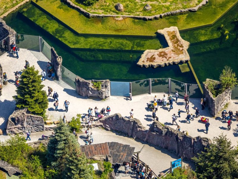 Im Zoom Gelsenkirchen gibt es seltenen Zuwachs.